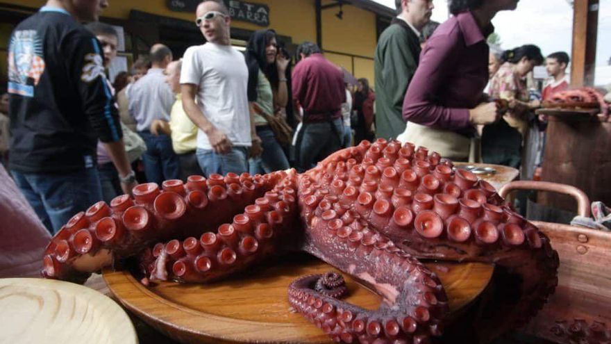 El pulpo gallego ‘desaparecerá’ de las lonjas durante tres meses y medio