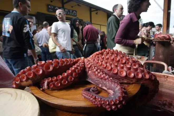 El pulpo gallego ‘desaparecerá’ de las lonjas durante tres meses y medio