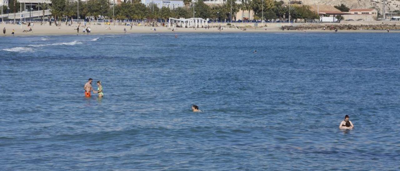 La temperatura del mar aumentó 0,8 grados en la costa de Alicante este  invierno - Información