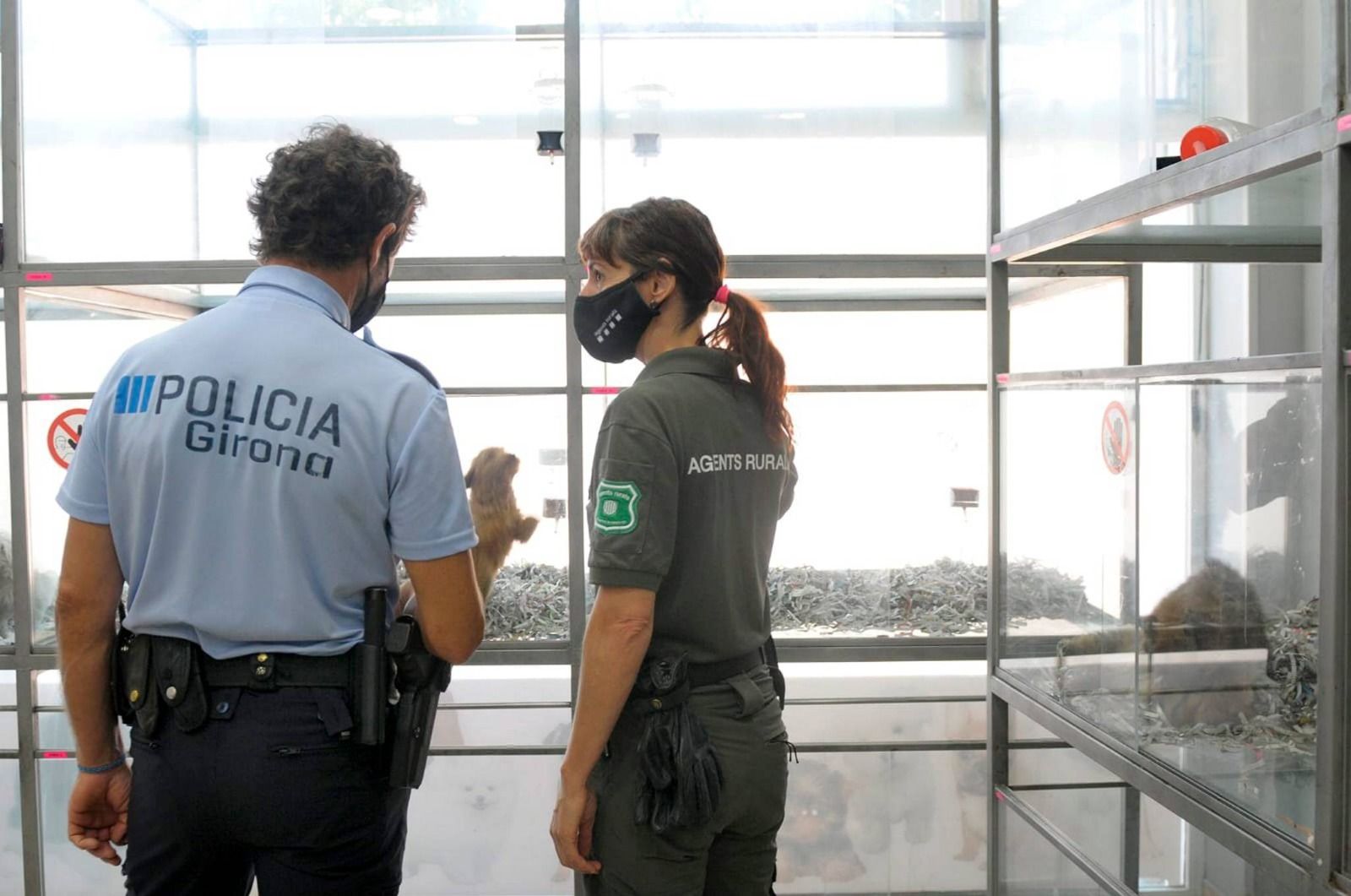 La Policia Municipal i els Agents Rurals inspeccionen les botigues d'animals de Girona