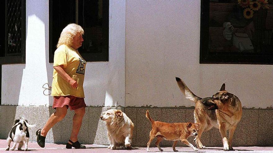 Sonia Cordeiro Santos, paseando con sus perros por el centro urbano de Cangas en 1999.