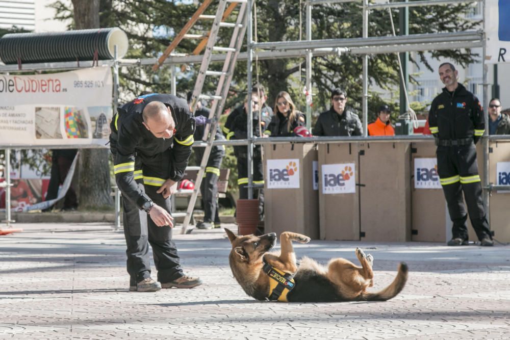 Jornada de emergencias en Alcoy