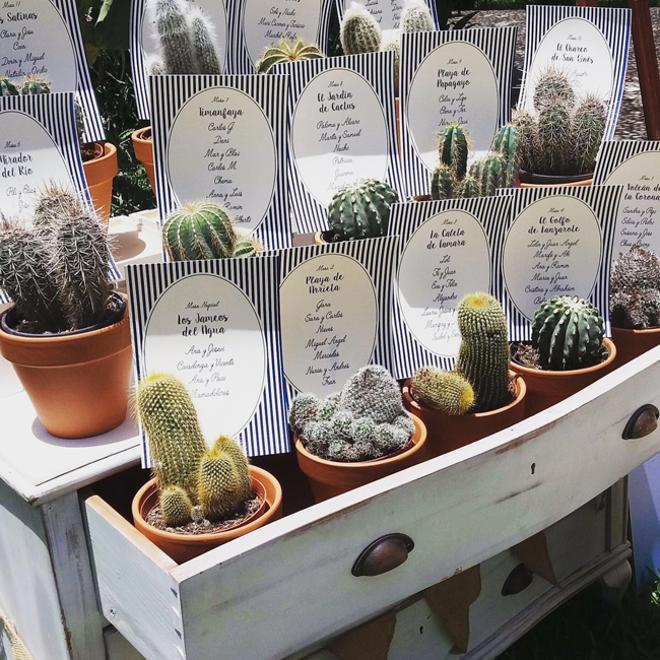 Viste tu boda con cactus:  ETC Bahía
