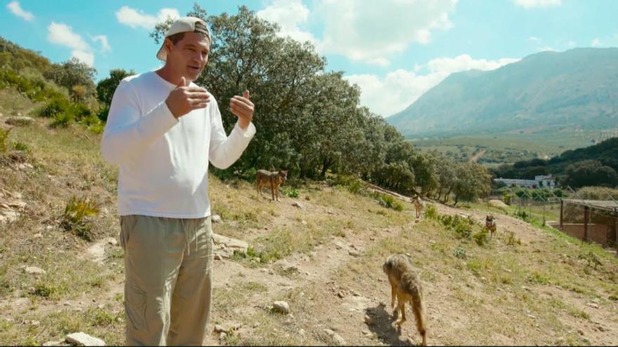 Frank De La Jungla Capitulos Completos