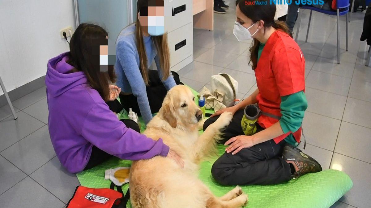 Las pacientes pasaron 50 minutos semanales interactuando con los perros.