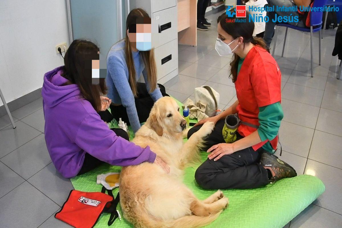 Las pacientes pasaron 50 minutos semanales interactuando con los perros.