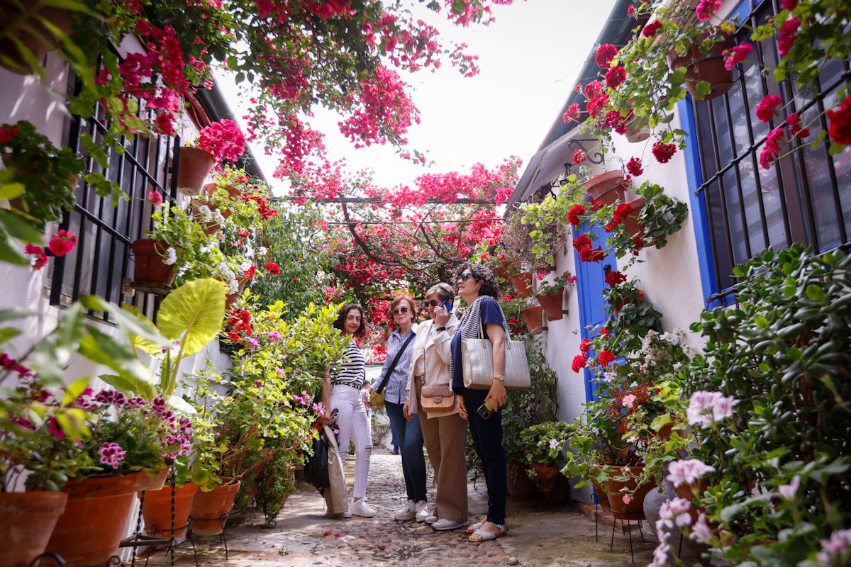 Así lucen los patios más visitados de la fiesta