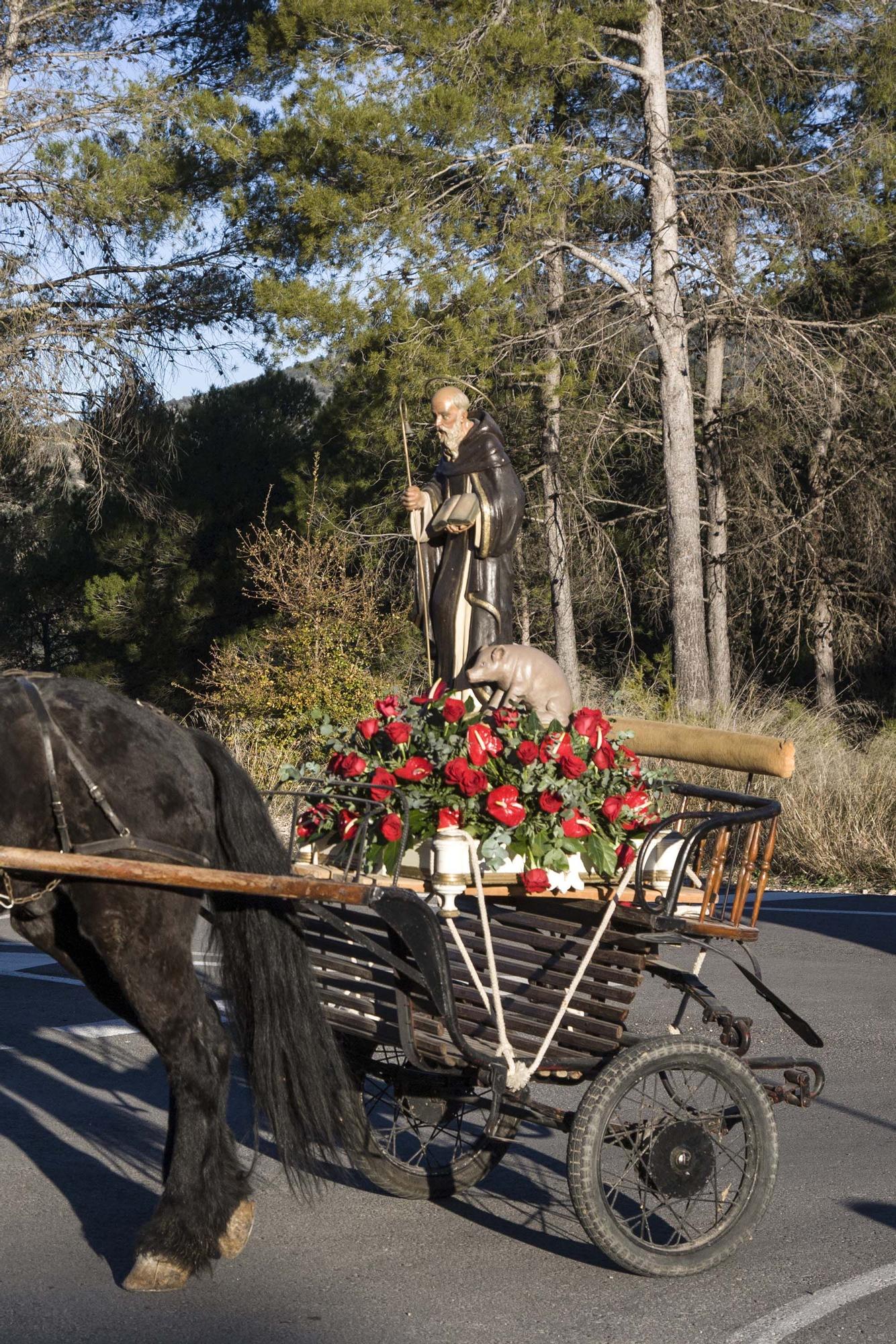 Alcoy vuelve a celebrar la Romería de Sant Antoni