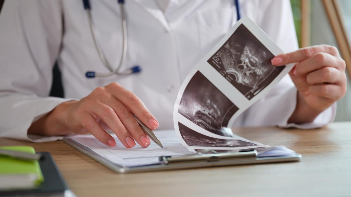 Una sanitaria revisa documentación del expediente de una mujer embarazada.
