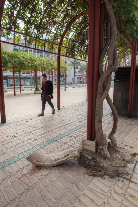 Vecinos de la avenida de la Libertad critican la falta de inversión en el mobiliario.