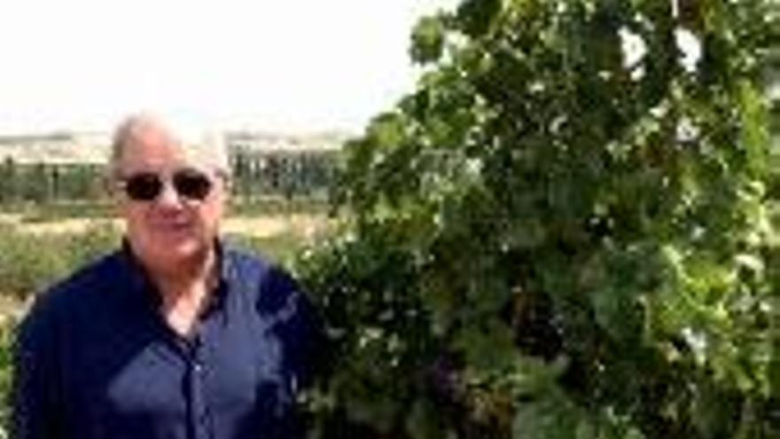 El Campo de Borja homenajea a la garnacha en su fiesta del vino