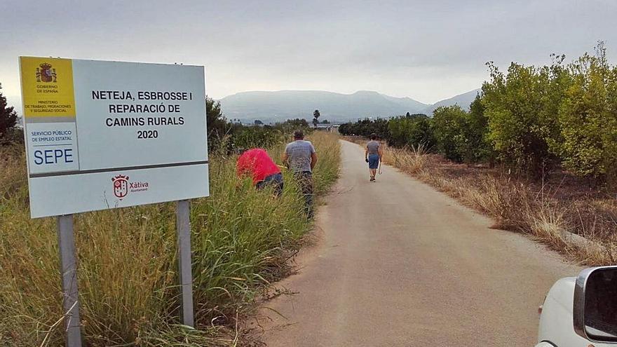 Trabajos de desbroce en Xàtiva