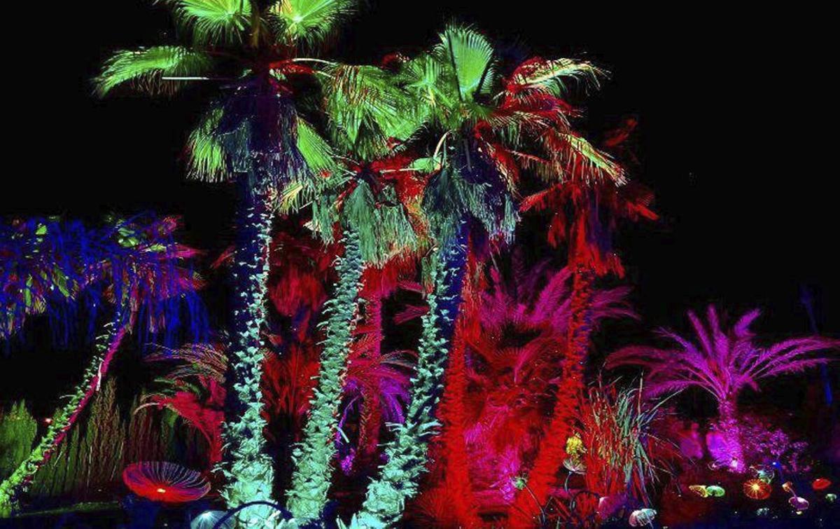 ‘Bibo Park bajo el cielo nocturno’ es una opción muy interesante para descubir el parque.