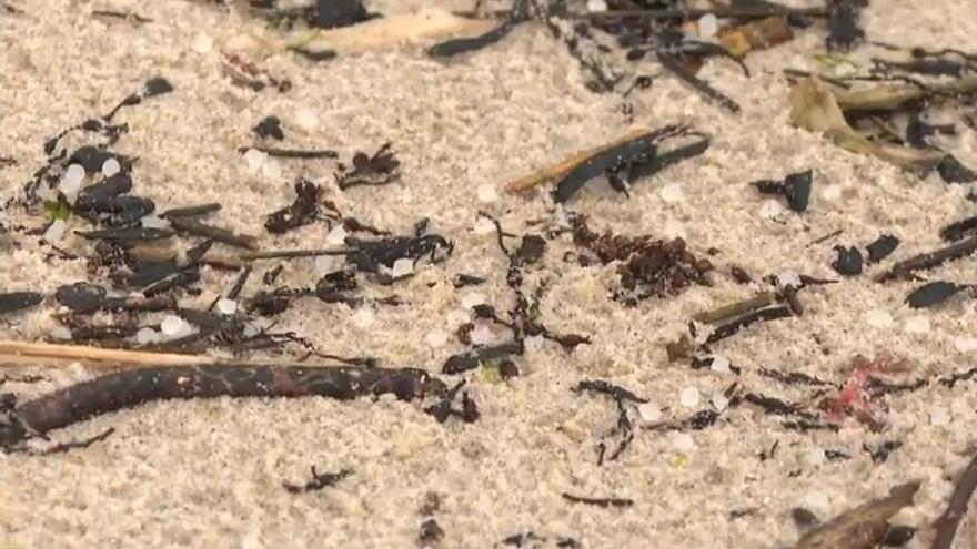 Una marea de pequeñas bolas de plástico inunda la costa gallega