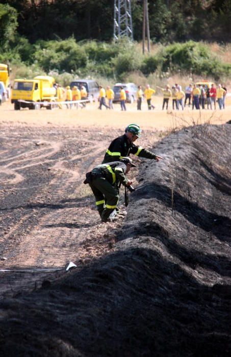 Incendi forestal a Sant Feliu Sasserra