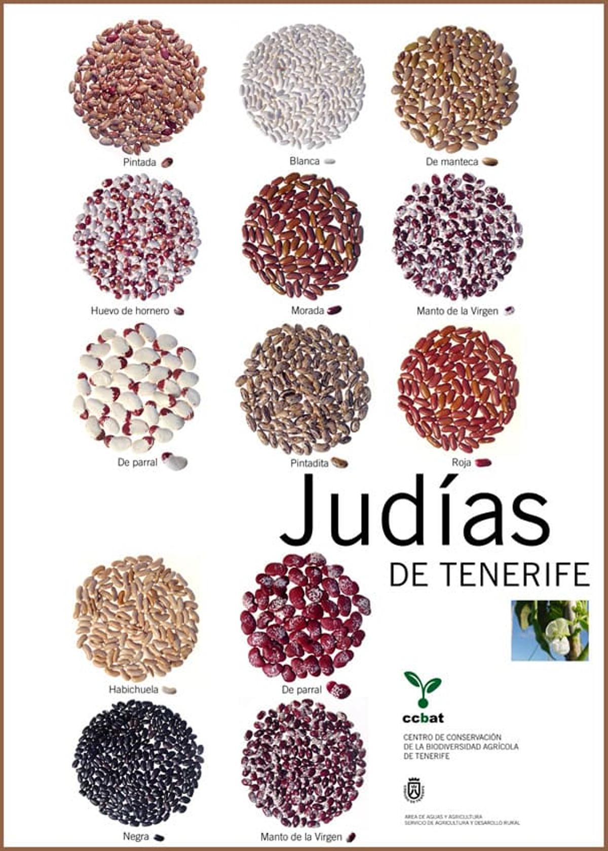 Judías de Tenerife.