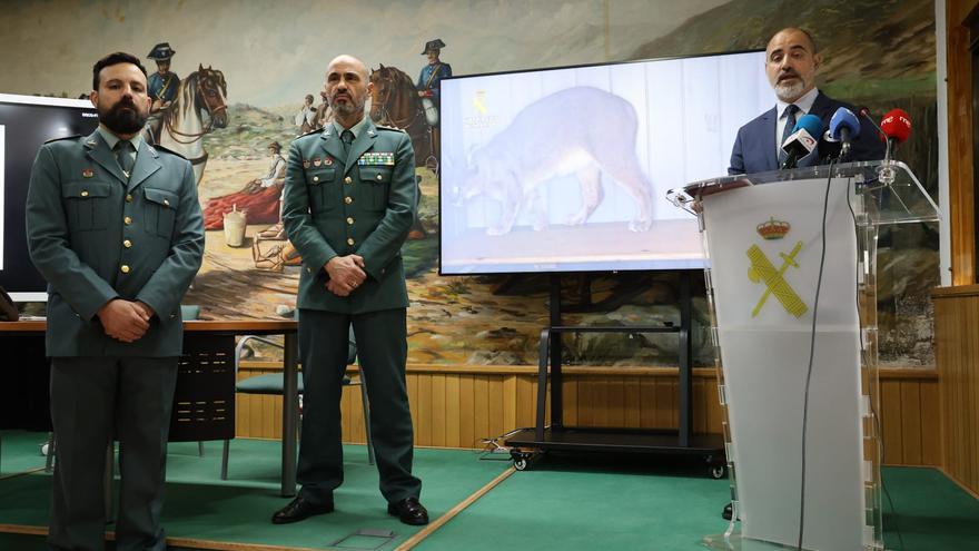 La Guardia Civil desmantela una red de trafico de animales en la Comunitat Valenciana