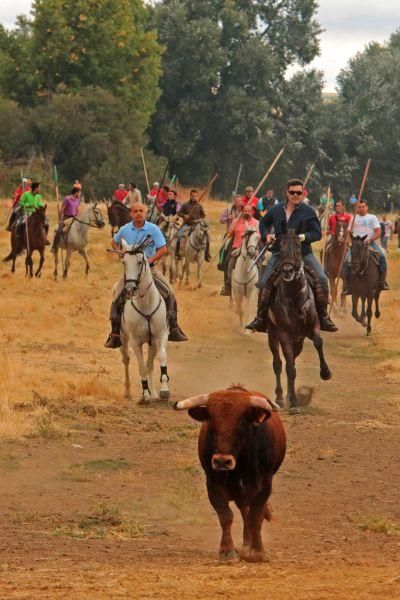 Encierro en San Miguel de la Ribera