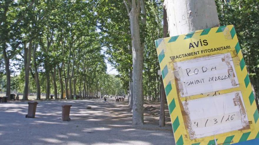 Girona posa en marxa una eina per avisar la ciutadania sobre els tractaments fitosanitaris al municipi