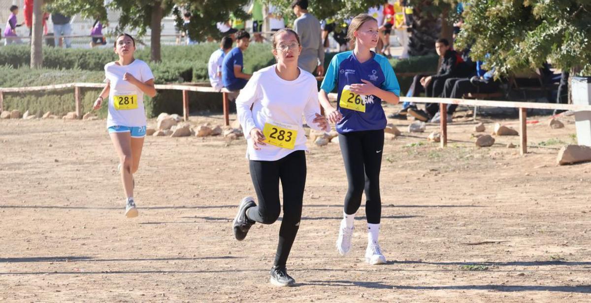 Más de 500 escolares corren en la jornada de Campo a través
