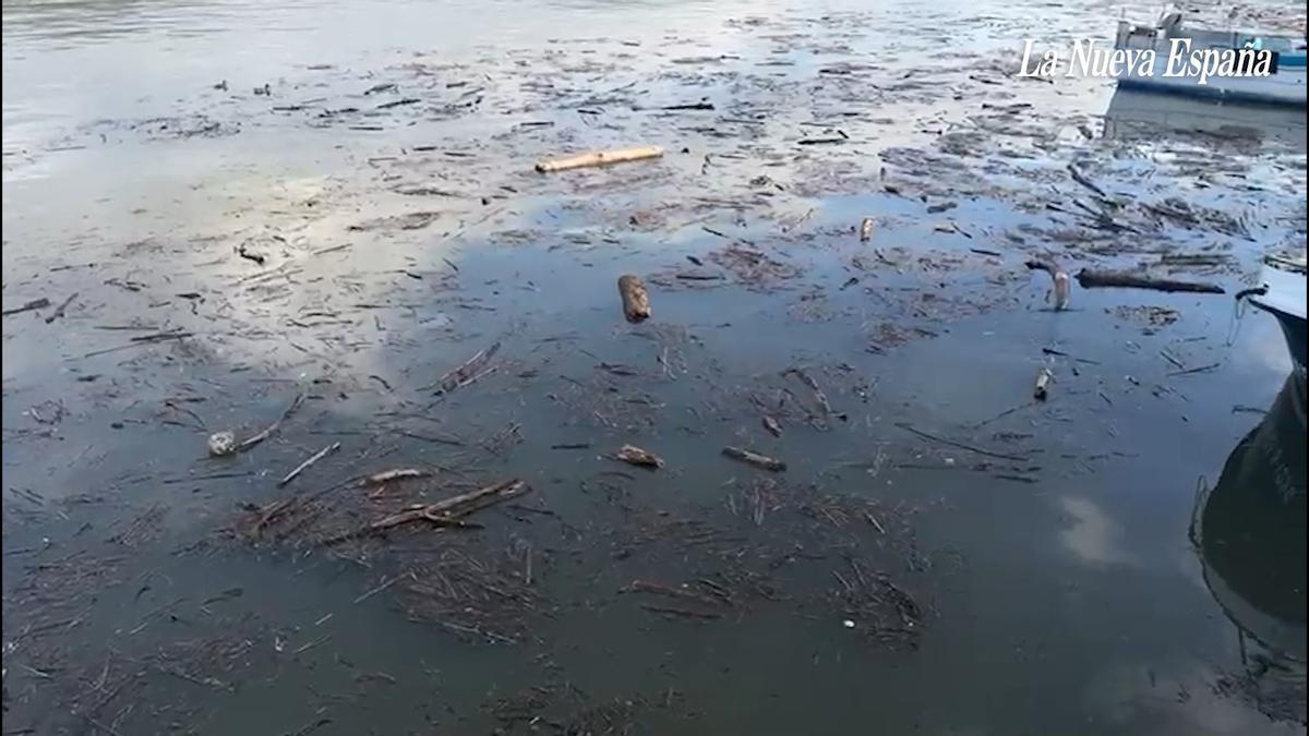 VÍDEO: El puerto de San Esteban (Muros de Nalón) tras una riada