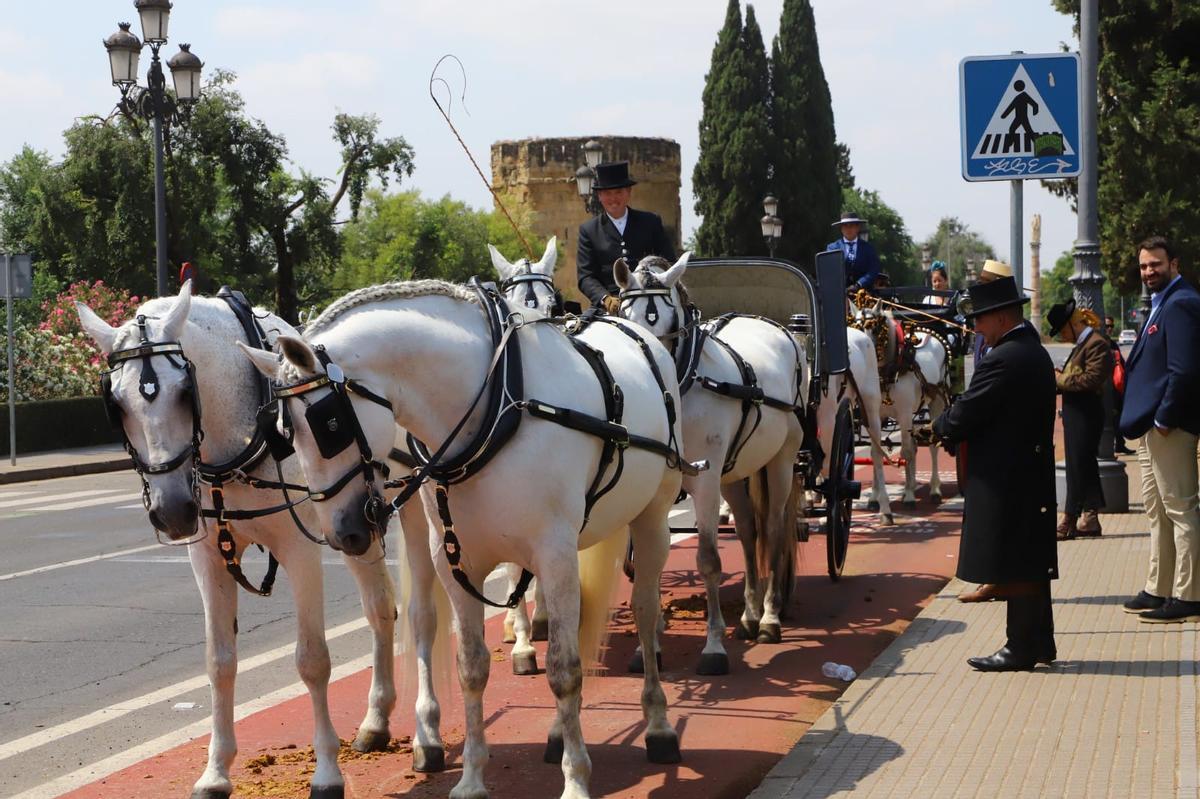 Un carruaje tradicional espera para hacer su entrada en la exhibición del Alcázar