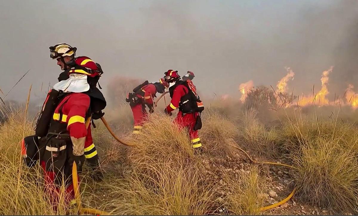El incendio de Los Gallardos, Almería, en imágenes.