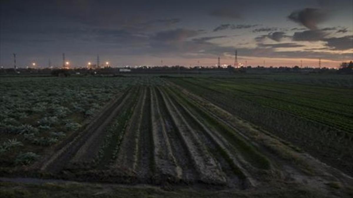 Terrenos del Parc Agrari del Llobregat donde pudo originarse el mal olor.