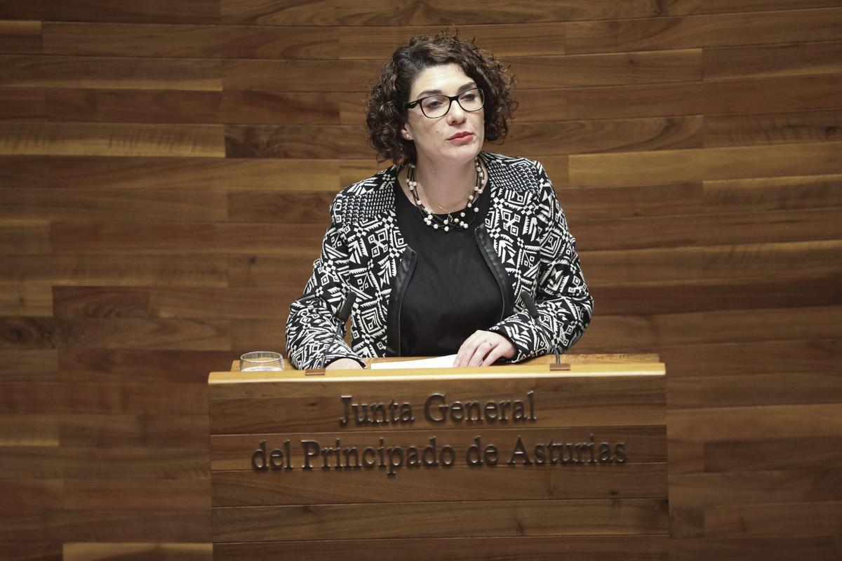 Marta Pulgar en la Junta General.