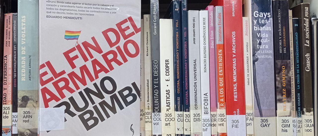 Estos son los libros de la polémica en Castelló.
