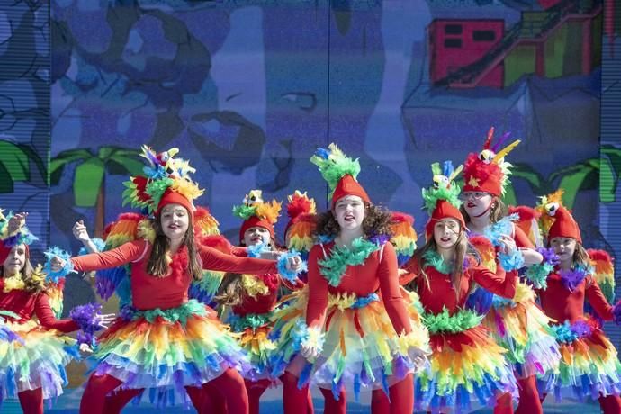 Carnaval 2019 | Festival de Disfraces del Carnaval de Las Palmas de Gran Canaria