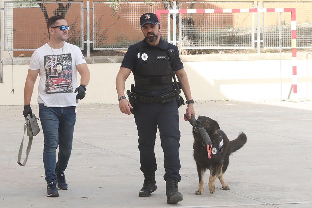 Agentes de Sant Antoni muestran a los alumnos las habilidades de la perra para detectar droga.