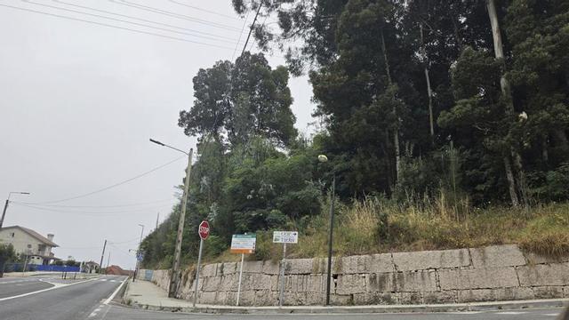 El terreno, junto a la PO-551, por cuya limpieza se espera desde hace cinco años. | SANTOS ÁLVAREZ