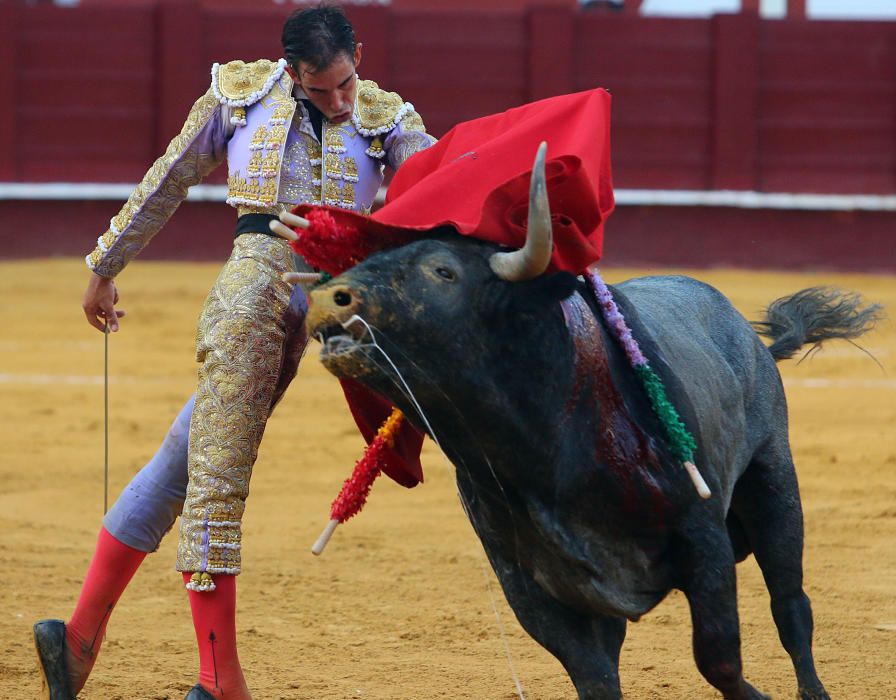 Saúl Jiménez Fortes se encierra con seis toros en la Feria Taurina