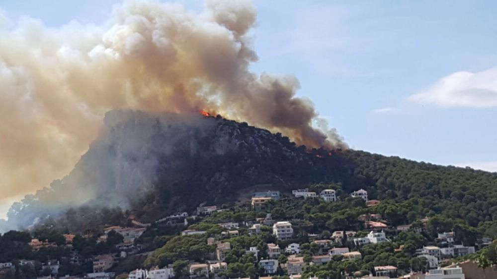 Incendi a l''Estartit