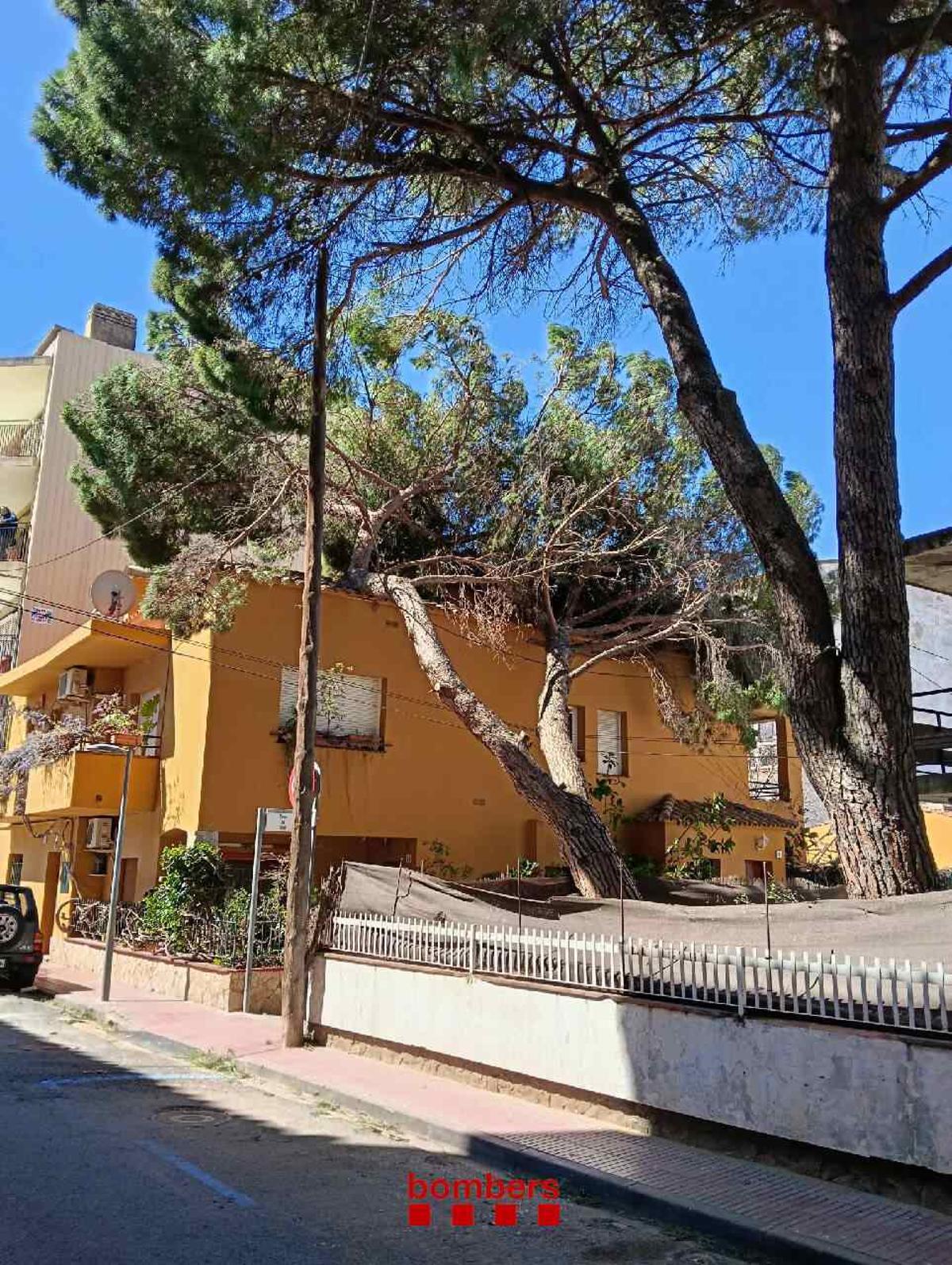 Les imatges dels efectes de la tramuntana a les comarques gironines