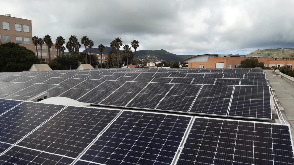 Placas fotovoltaicas en el Estabulario de la Universidad de La Laguna.