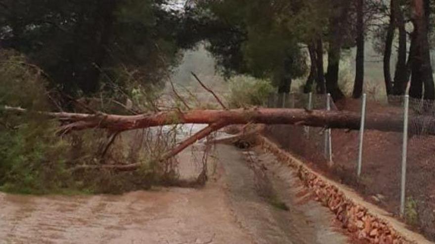 17 carreteras cerradas este martes en Castellón por el temporal Gloria