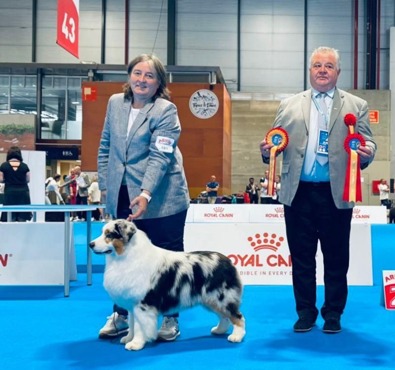 Sonsoles Hevia de la Noval junto al juez András Horozs, durante la entrega de las escarapelas del mejor del mundo en su raza, y subcampeón del grupo de perros pastores.