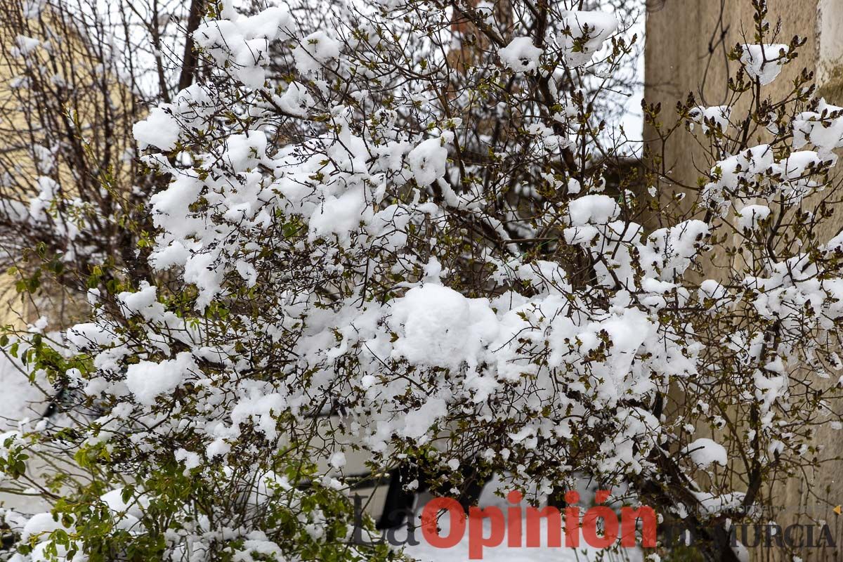 La comarca del Noroeste ofrece una estampa invernal