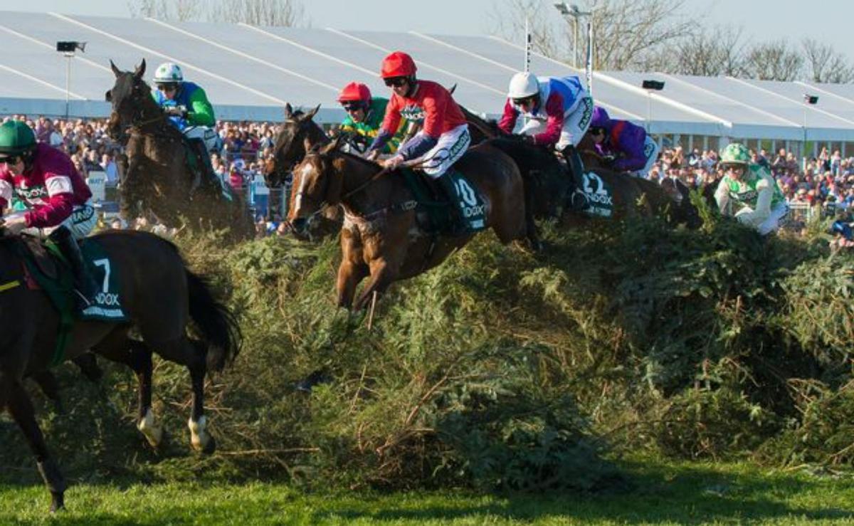 Fuetades als cavalls