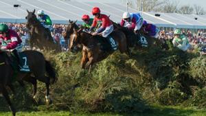 Fuetades als cavalls