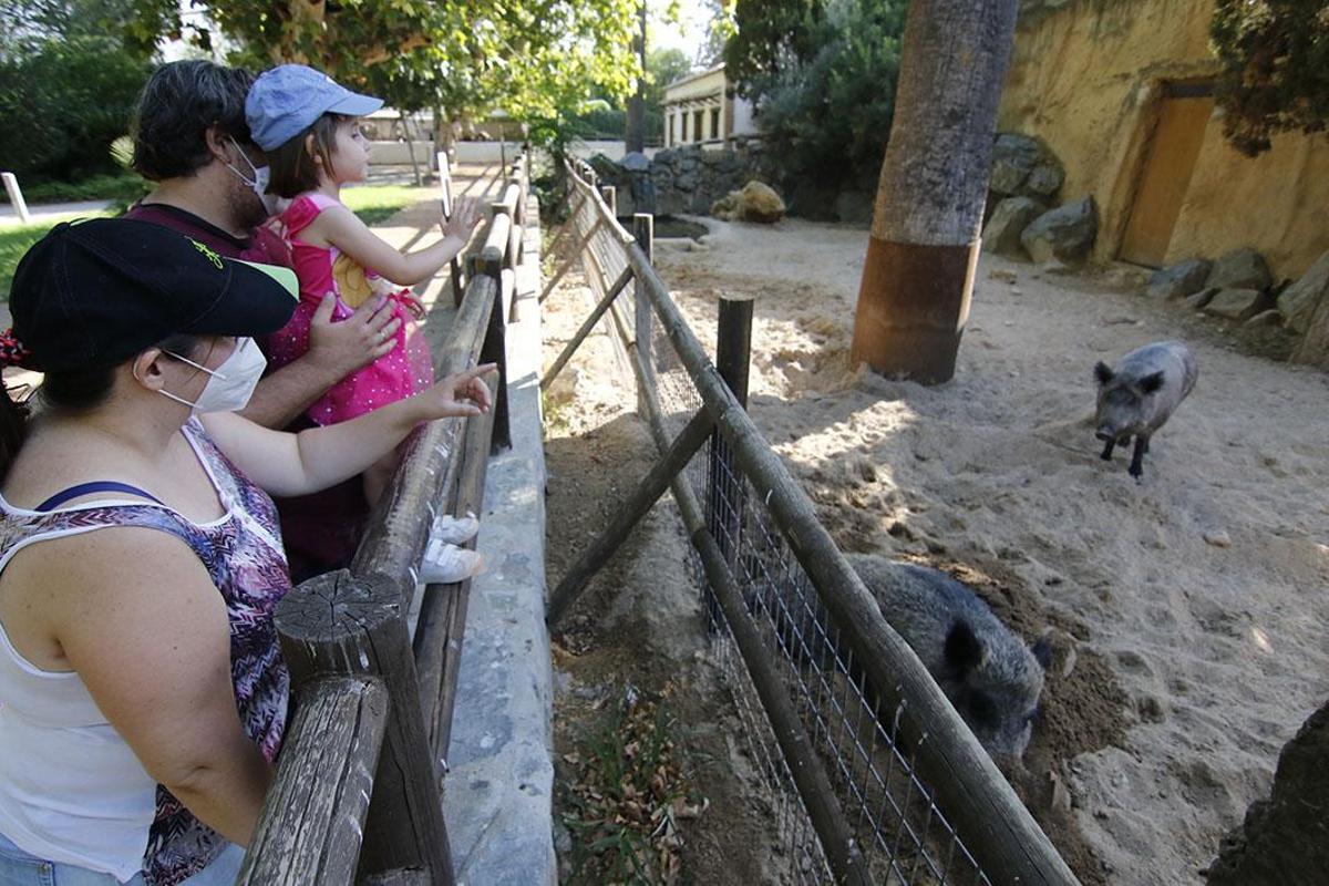 Reapertura del Zoológico tras el estado de alarma