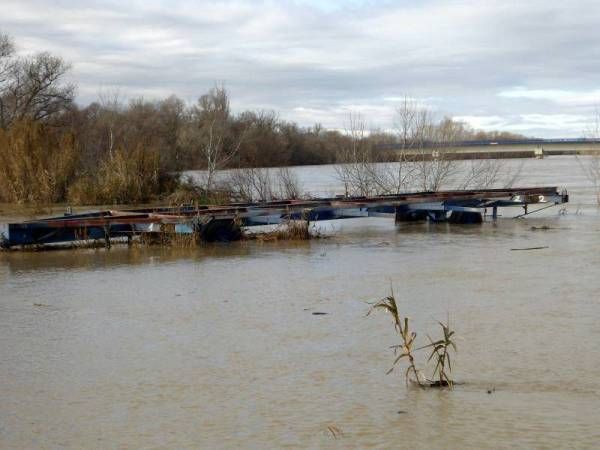 Fotogalería: Crecida en el río Ebro