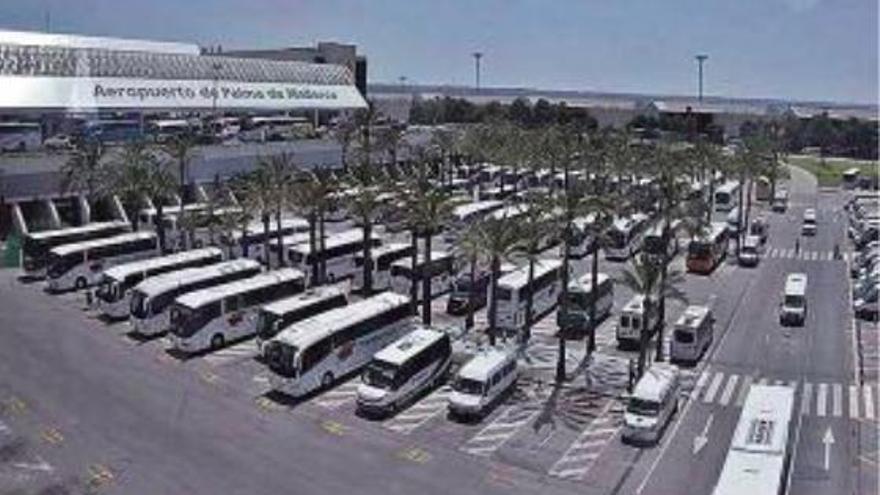 Wenn diese Busse nicht fahren, herrscht am Flughafen Mallorca Chaos.