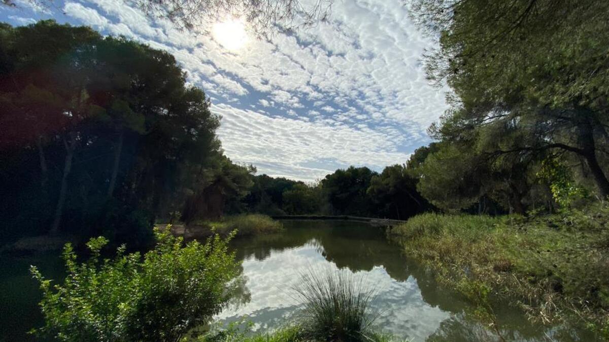 La Vallesa de Paterna