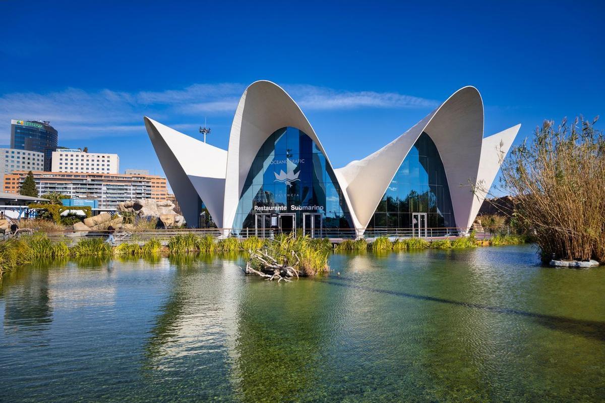 Valencia imprescindible - Entrada oceanografic
