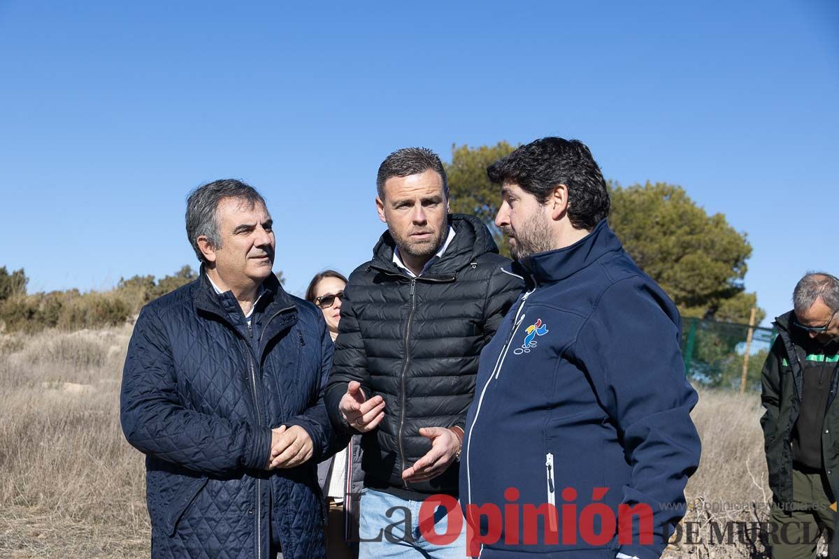 Suelta de dos buitres leonados en la Sierra de Mojantes en Caravaca