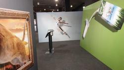 La exposición 3D Trick Gallery, en el Muelle Uno de Málaga - La Opinión de  Málaga