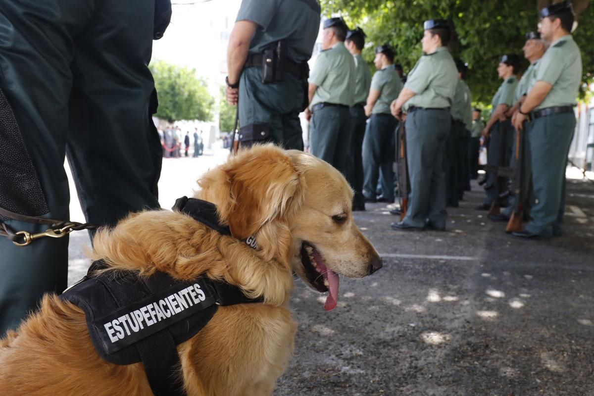 Fotogalería / Toma de posesión en la Comandancia de la Guardia Civil